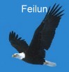 Feilun